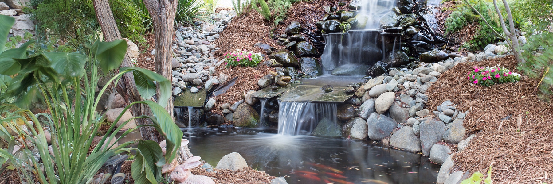 Desktop Background Image